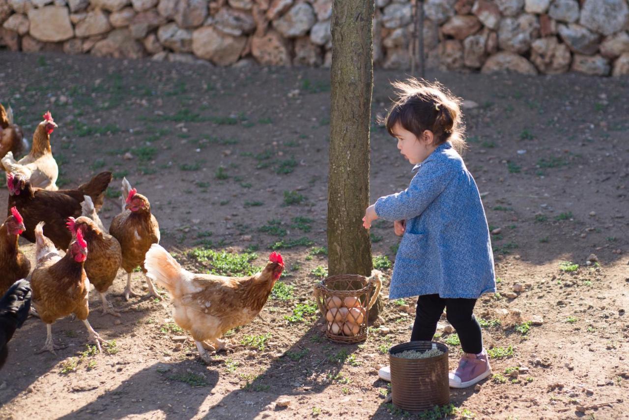 מאהון Llucmacanes Gran Agroturismo מראה חיצוני תמונה