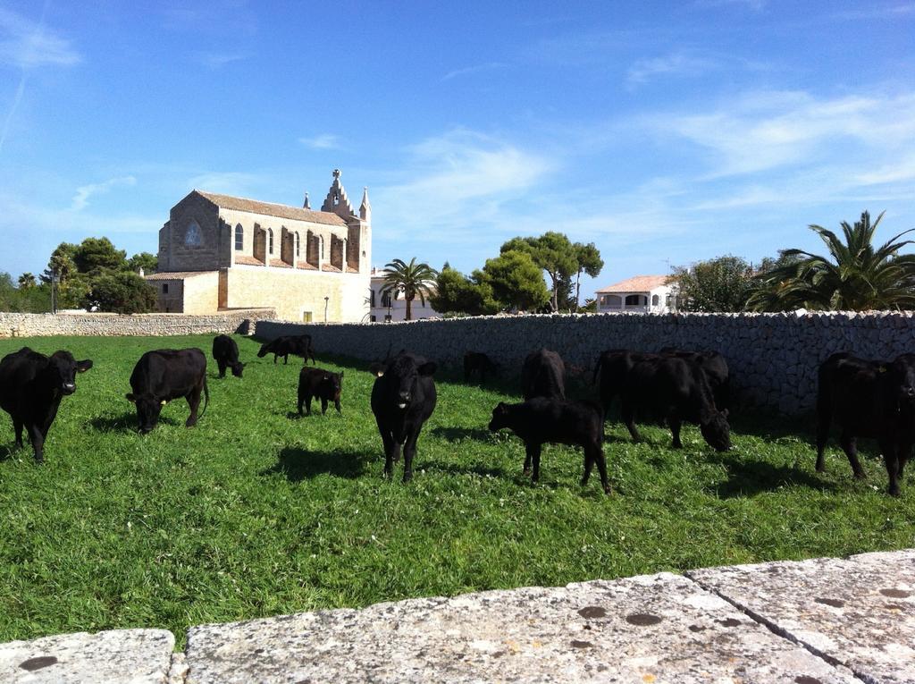 מאהון Llucmacanes Gran Agroturismo מראה חיצוני תמונה